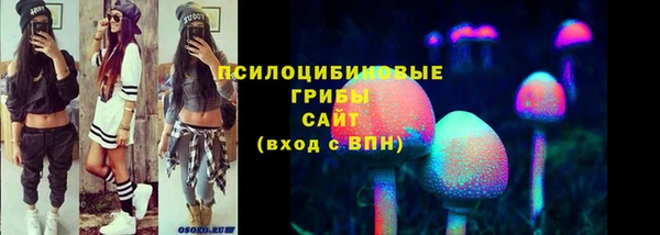 хмурый Алексеевка