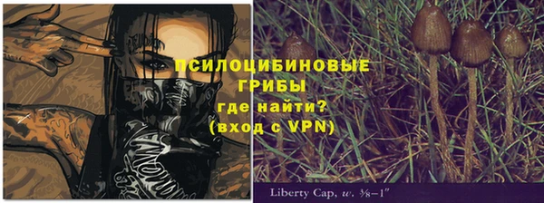 хмурый Алексеевка