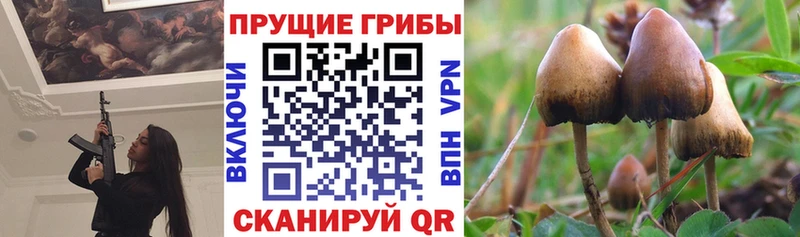 Псилоцибиновые грибы прущие грибы  Ростов-на-Дону 