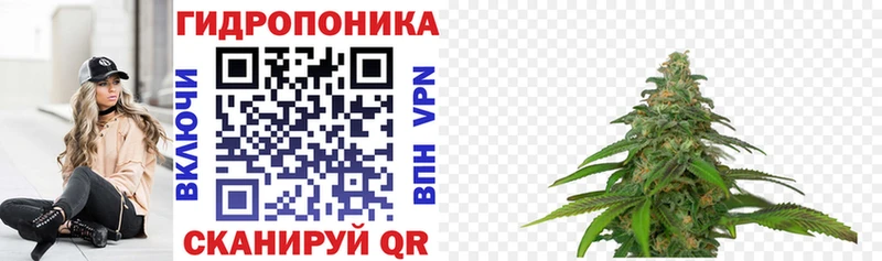 где продают наркотики  Ростов-на-Дону  Бошки Шишки White Widow 